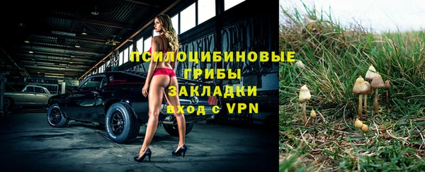 ешки Гвардейск