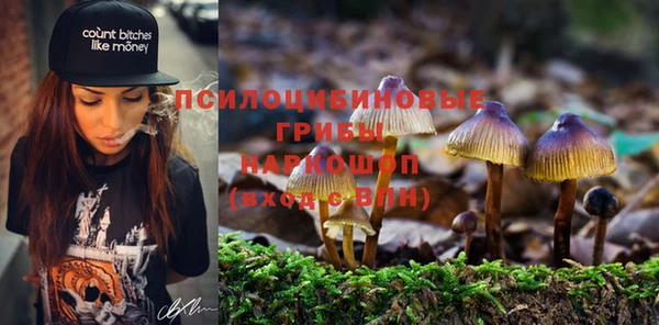первитин Покровск