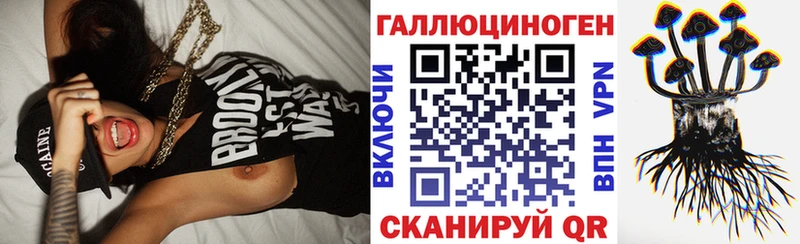 Галлюциногенные грибы MAGIC MUSHROOMS  купить наркотик  Торопец 