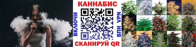 Конопля гибрид  площадка формула  kraken зеркало  Торопец  хочу наркоту 